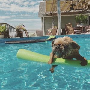 Meet your Posher, Breck